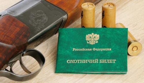 Изменения в законе об охоте: что нужно знать с 2025 года