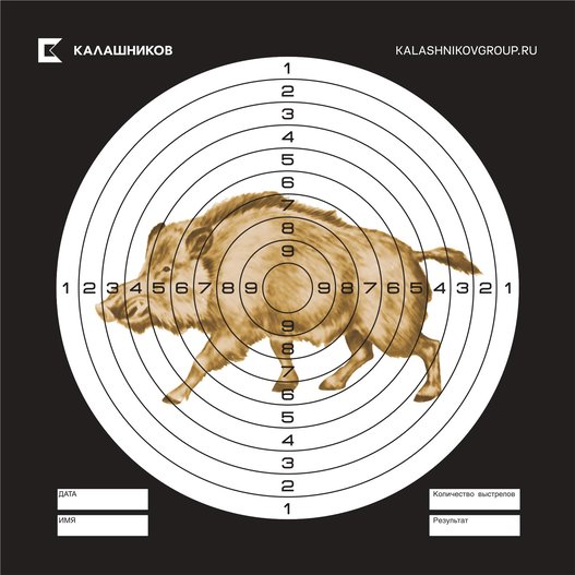 Мишень для пневматики "Кабан" картон 14х14 см